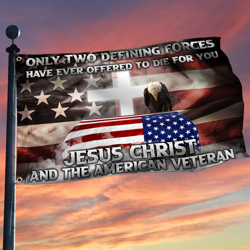 Unique Only Two Defining Forces Have Ever Offered To Die For You Grommet Flag PVC191110