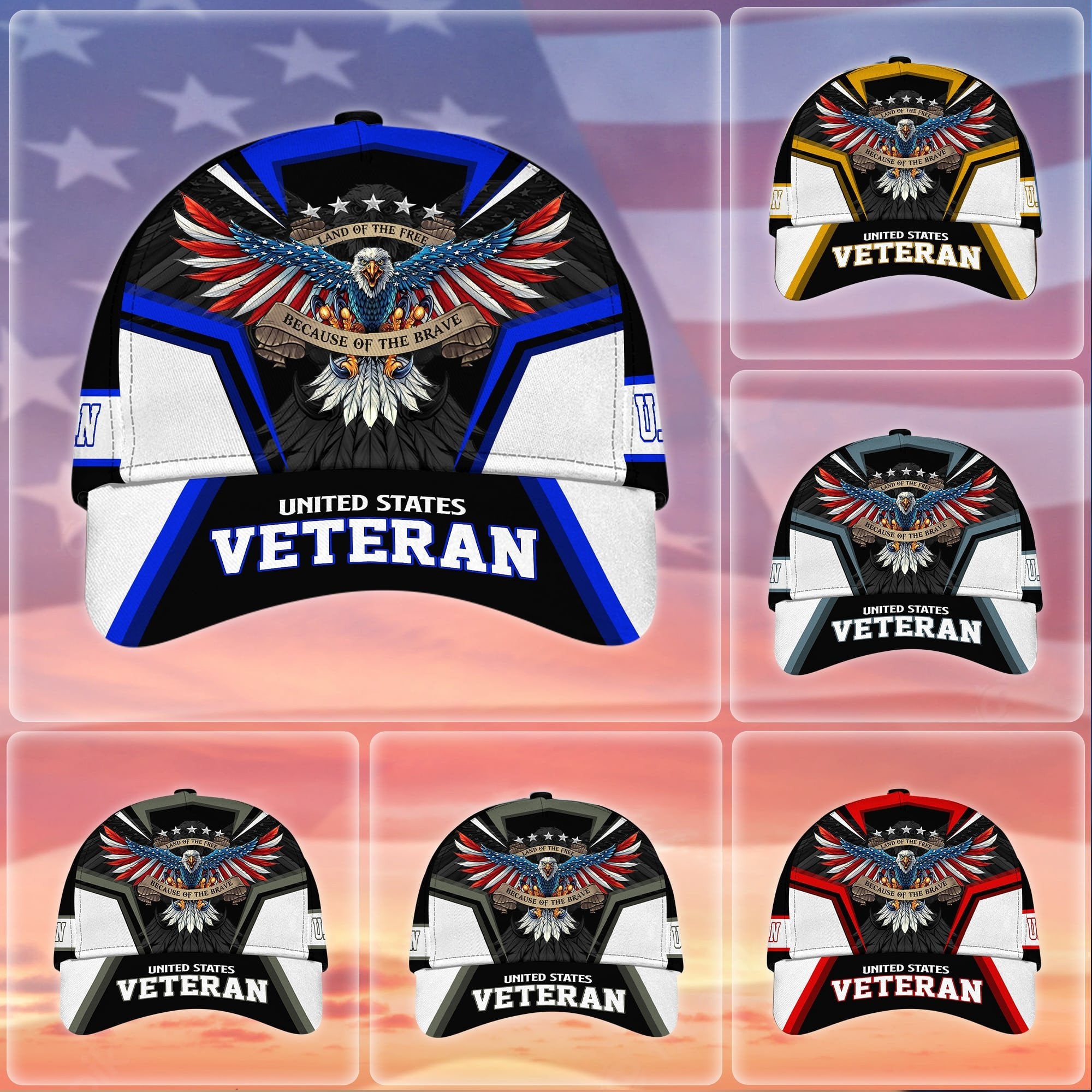 Premium Land Of The Free U.S. Veteran 3D Cap NPVC110701